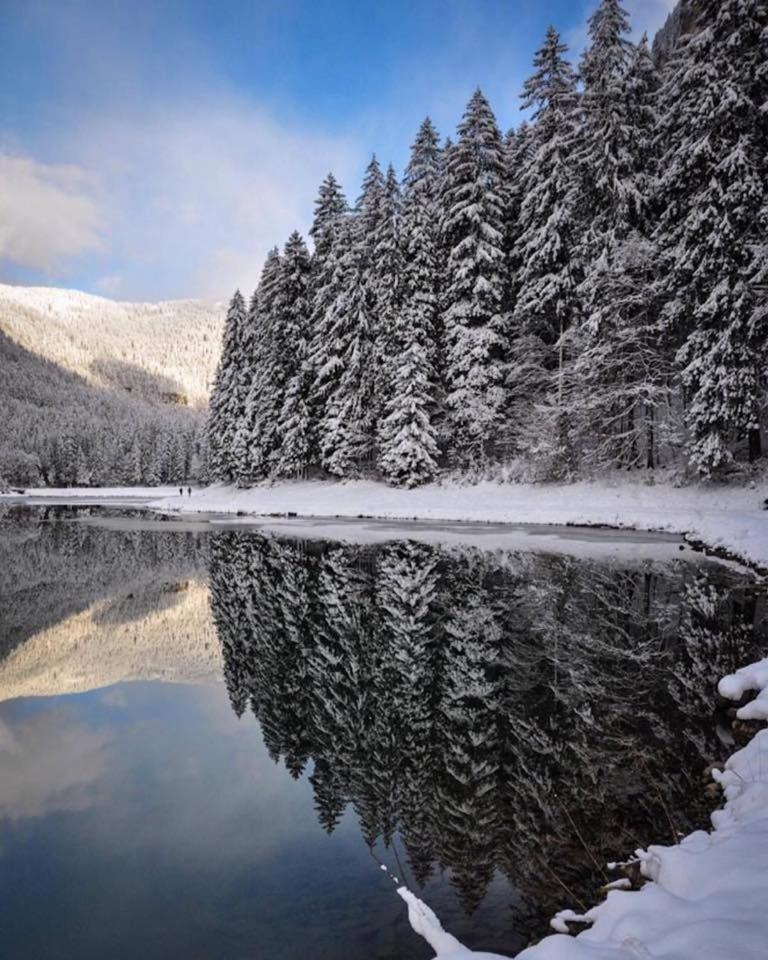 Chalet Adonis - Montriond, Morzine, Avoriaz Eksteriør bilde